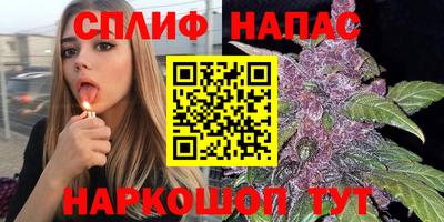 стаф Ирбит